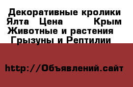 Декоративные кролики Ялта › Цена ­ 500 - Крым Животные и растения » Грызуны и Рептилии   